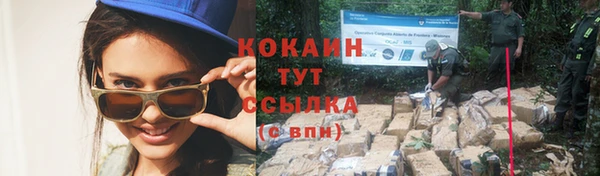 MESCALINE Бородино