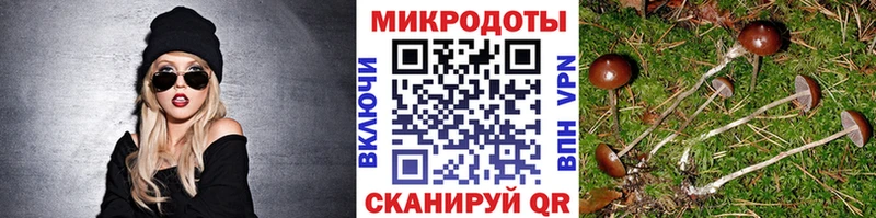 даркнет сайт  Верхоянск  Галлюциногенные грибы Magic Shrooms 